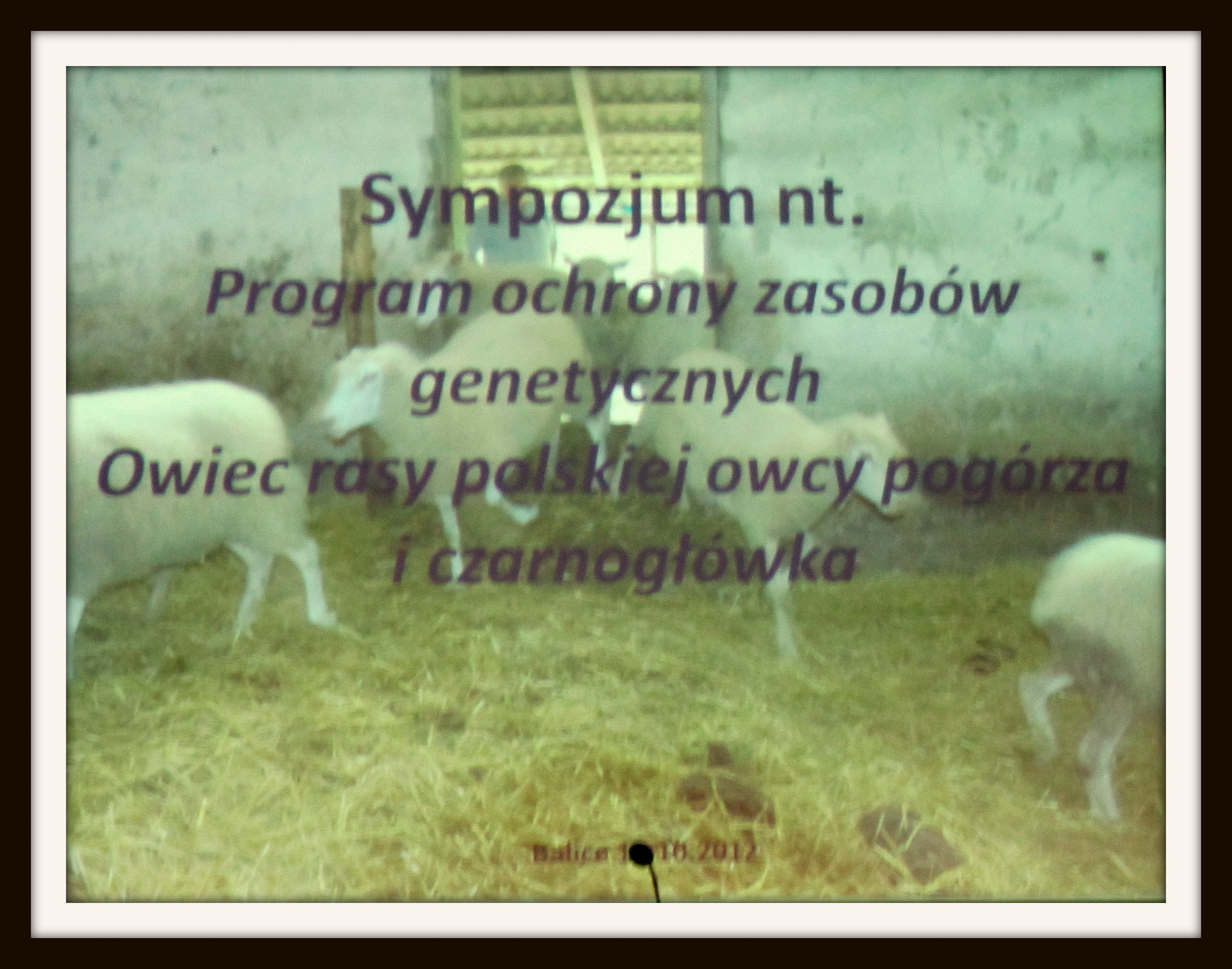 sympozjum Balice